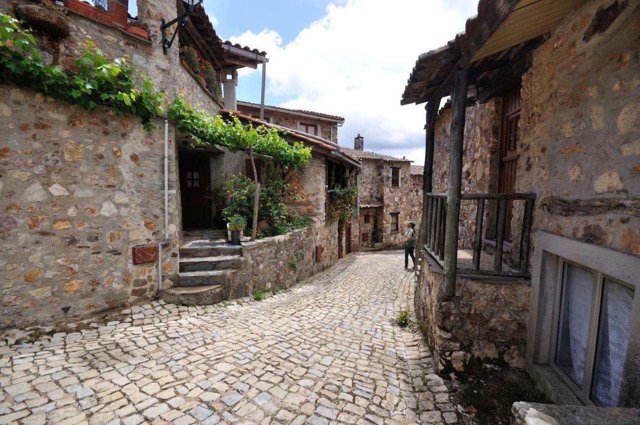 Casa Do Olival Villa Figueiro Dos Vinhos Exterior foto