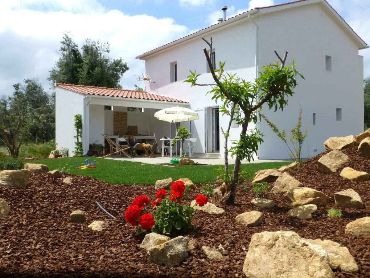 Casa Do Olival Villa Figueiro Dos Vinhos Exterior foto