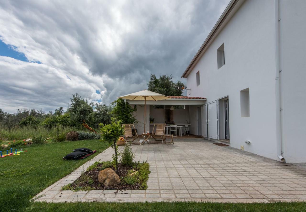 Casa Do Olival Villa Figueiro Dos Vinhos Exterior foto