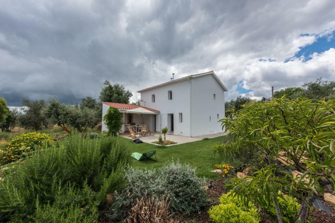 Casa Do Olival Villa Figueiro Dos Vinhos Exterior foto